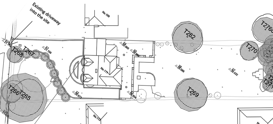 BS5837 Trees & Planning Reports