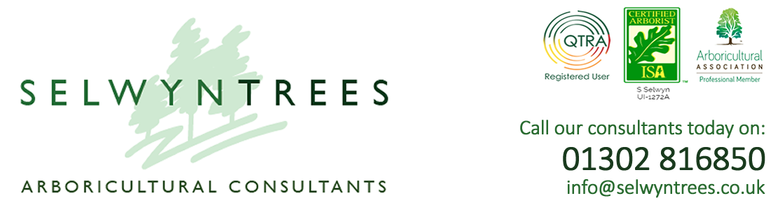 SelwynTreesLogo